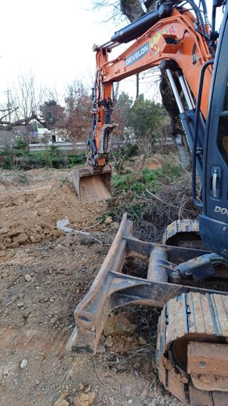 이순기님의 두릅 · 영농일지 작성글 사진