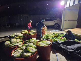 키다리입니다님의 기타작물 · 영농일지 작성글 사진