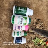 팜모닝 기타작물·영농일지 게시글 이미지