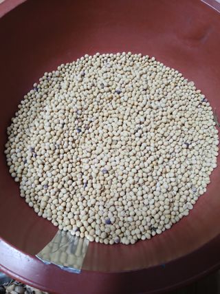 최남옥님의 기타작물 · 영농일지 작성글 사진