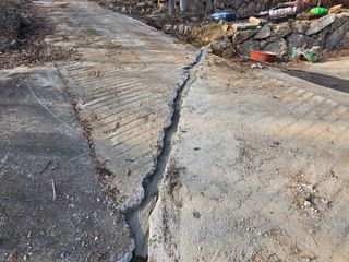 서보석님의 두릅 · 영농일지 작성글 사진