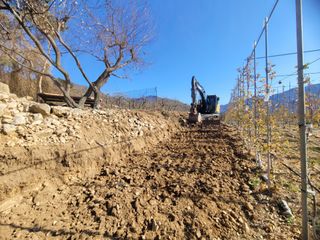 날씨가 흐려 방제가님의 사과 · 영농일지 작성글 사진