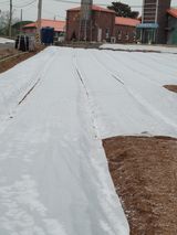 이상숙님의 작성글 사진