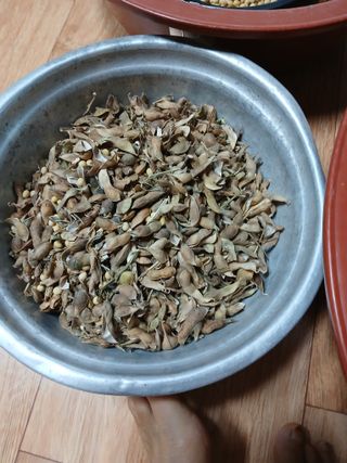 최남옥님의 기타작물 · 영농일지 작성글 사진