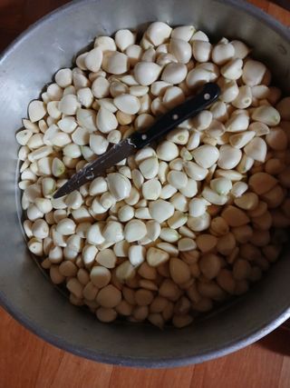 최유순님의 기타작물 · 영농일지 작성글 사진