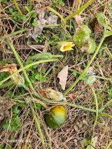 Captain김상곤님의 작성글 사진