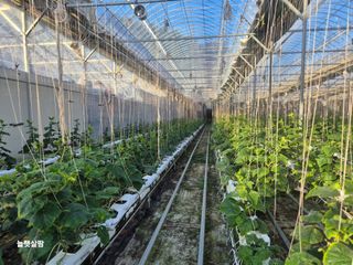 늘햇살팜 님의 기타작물 · 영농일지 작성글 사진