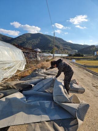옥재벌님의 기타작물 · 영농일지 작성글 사진