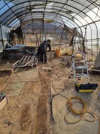 옥재벌님의 기타작물 · 영농일지 작성글 사진