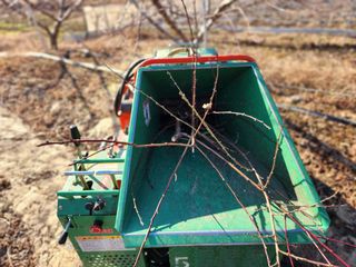 꿀복이농장님의 복숭아 · 영농일지 작성글 사진