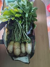 팜모닝 기타작물·영농일지 게시글 이미지