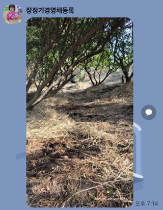 콩19996ㆍ혜자님의 기타작물 · 영농일지 작성글 사진