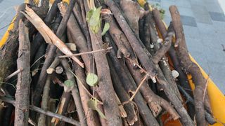 가야산아래촌농님의 기타작물 · 영농일지 작성글 사진