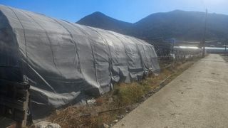 옥재벌님의 기타작물 · 영농일지 작성글 사진