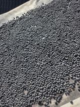 팜모닝 콩·영농일지 게시글 이미지