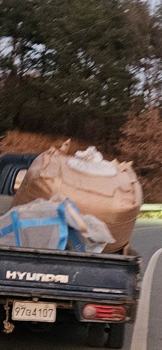 고사리.밤.육쪽마늘님의 콩 · 영농일지 작성글 사진