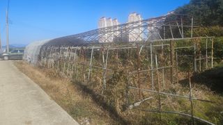 옥재벌님의 기타작물 · 영농일지 작성글 사진