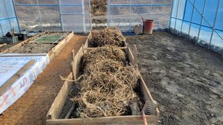 김홍중님의 두릅 · 영농일지 작성글 사진