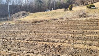 김홍중님의 작성글 사진