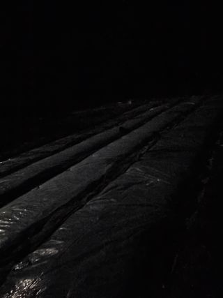 감20280님의 마늘 · 영농일지 작성글 사진