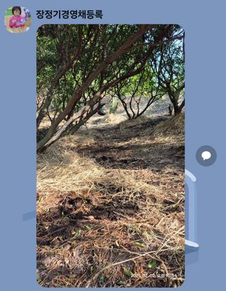 콩19996ㆍ혜자님의 기타작물 · 영농일지 작성글 사진