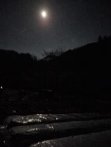 팜모닝 마늘·영농일지 게시글 이미지