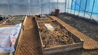 김홍중님의 두릅 · 영농일지 작성글 사진