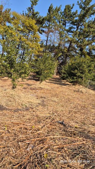 콩19996ㆍ혜자님의 기타작물 · 영농일지 작성글 사진