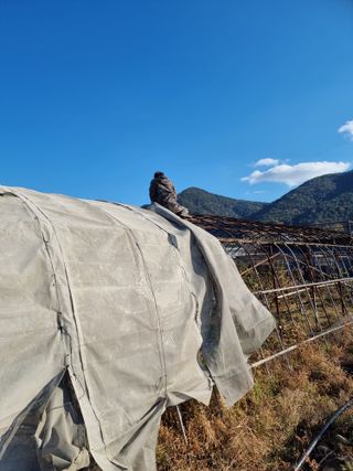 옥재벌님의 기타작물 · 영농일지 작성글 사진