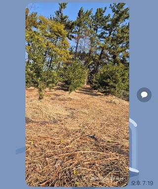 콩19996ㆍ혜자님의 기타작물 · 영농일지 작성글 사진