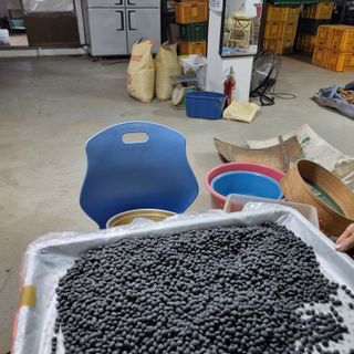 권오택님의 콩 · 영농일지 작성글 사진