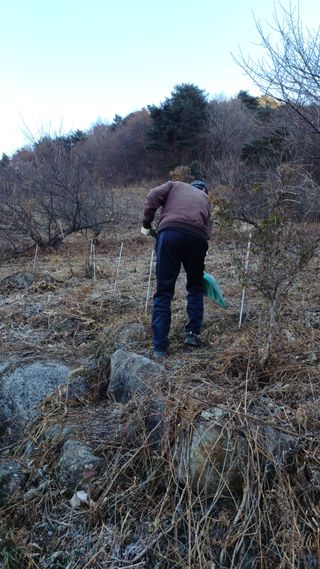 이순기님의 기타작물 · 영농일지 작성글 사진