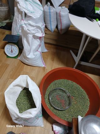 바위돌 심재성님의 콩 · 영농일지 작성글 사진