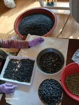 팜모닝 콩·영농일지 게시글 이미지