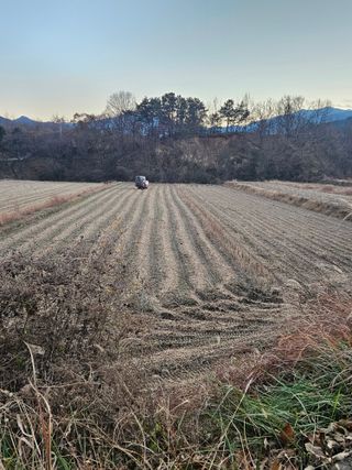 고사리.밤.육쪽마늘님의 콩 · 영농일지 작성글 사진