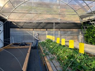 최가현님의 귤 · 영농일지 작성글 사진