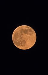 팜모닝 벼·영농일지 게시글 이미지