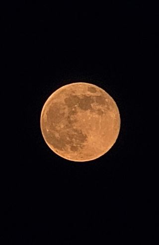 이미옥님의 벼 · 영농일지 작성글 사진