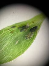 최가현님의 작성글 사진