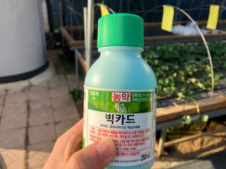 최가현님의 귤 · 영농일지 작성글 사진