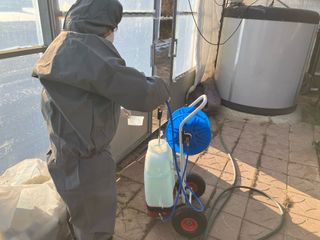 최가현님의 귤 · 영농일지 작성글 사진