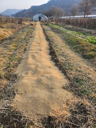 김용제 님의 기타작물 · 영농일지 작성글 사진