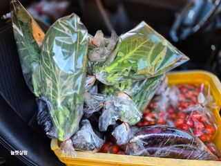 늘햇살팜 님의 기타작물 · 영농일지 작성글 사진