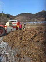 팜모닝 기타작물·영농일지 게시글 이미지