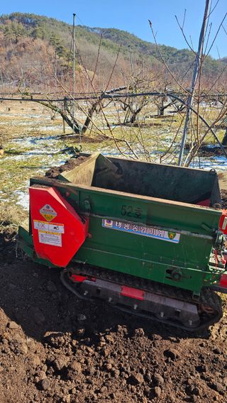 kkk님의 포도 · 영농일지 작성글 사진