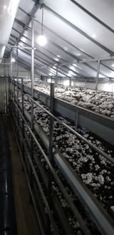 팜모닝 기타작물·영농일지 게시글 이미지