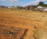 팜모닝 기타작물·영농일지 게시글 이미지