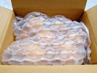 새달귤농장님의 귤 · 영농일지 작성글 사진