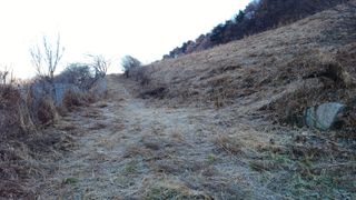 이순기님의 두릅 · 영농일지 작성글 사진