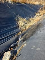 팜모닝 고추·영농일지 게시글 이미지